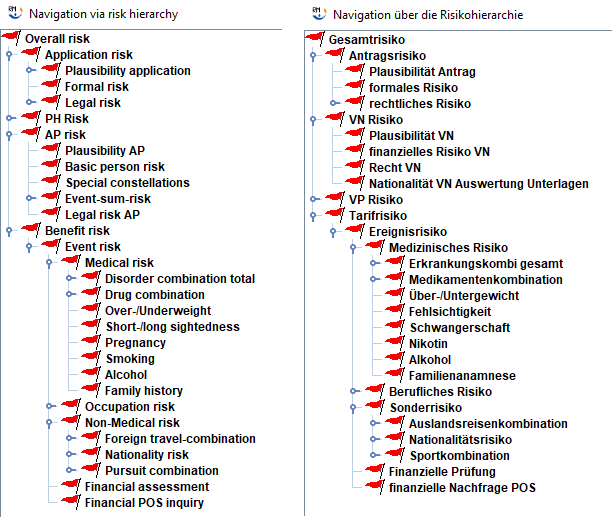 risk hierarchy