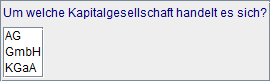 Kapitalgesellschaft