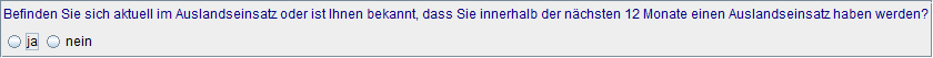 Auslandseinsatz