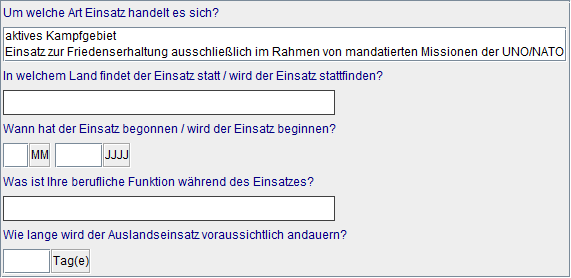 Details Auslandseinsatz