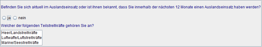 Auslandseinsatz