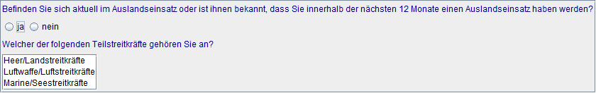 Auslandseinsatz