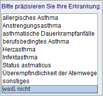 Präzisierung