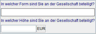 Gesellschaftsbeteiligung (VP)