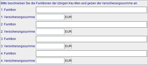Details andere Key-Man Versicherungen (VP)